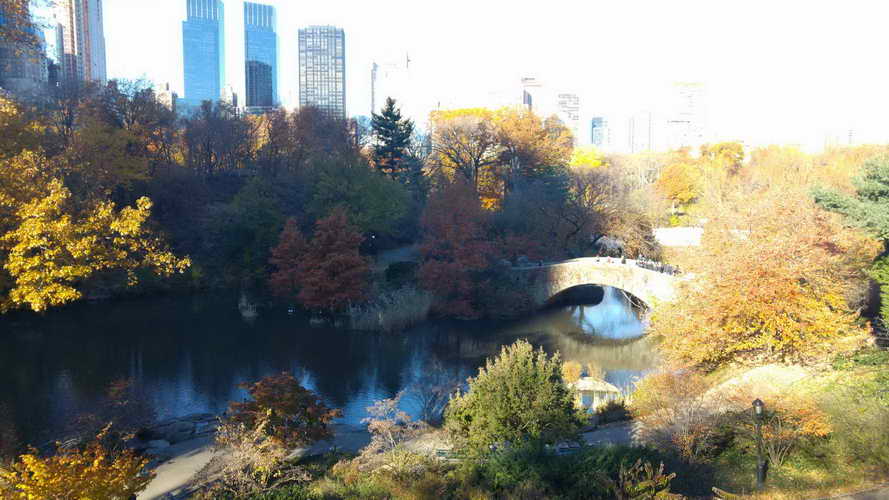 NYC_2017-11-23 10-05-41_CELL_20171123_100541